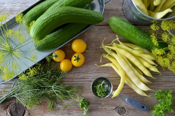 Verduras frescas Ferbis